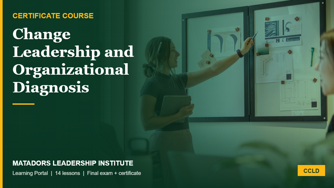 Certificate in Change Leadership and Organizational Diagnosis